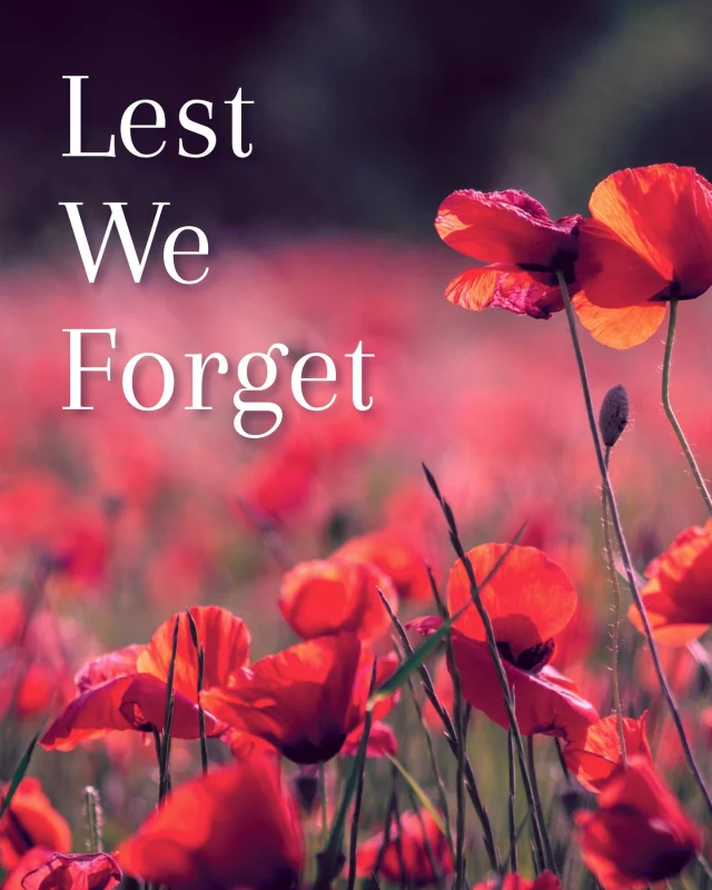 Today, we pause to remember ❤️

On this Remembrance Day, we honour the courage and sacrifice of those who served and continue to serve for our freedom. May we carry their legacy forward with gratitude, compassion, and peace in our hearts.

#LestWeForget #RemembranceDay #SpaLumina #BarrieCommunity